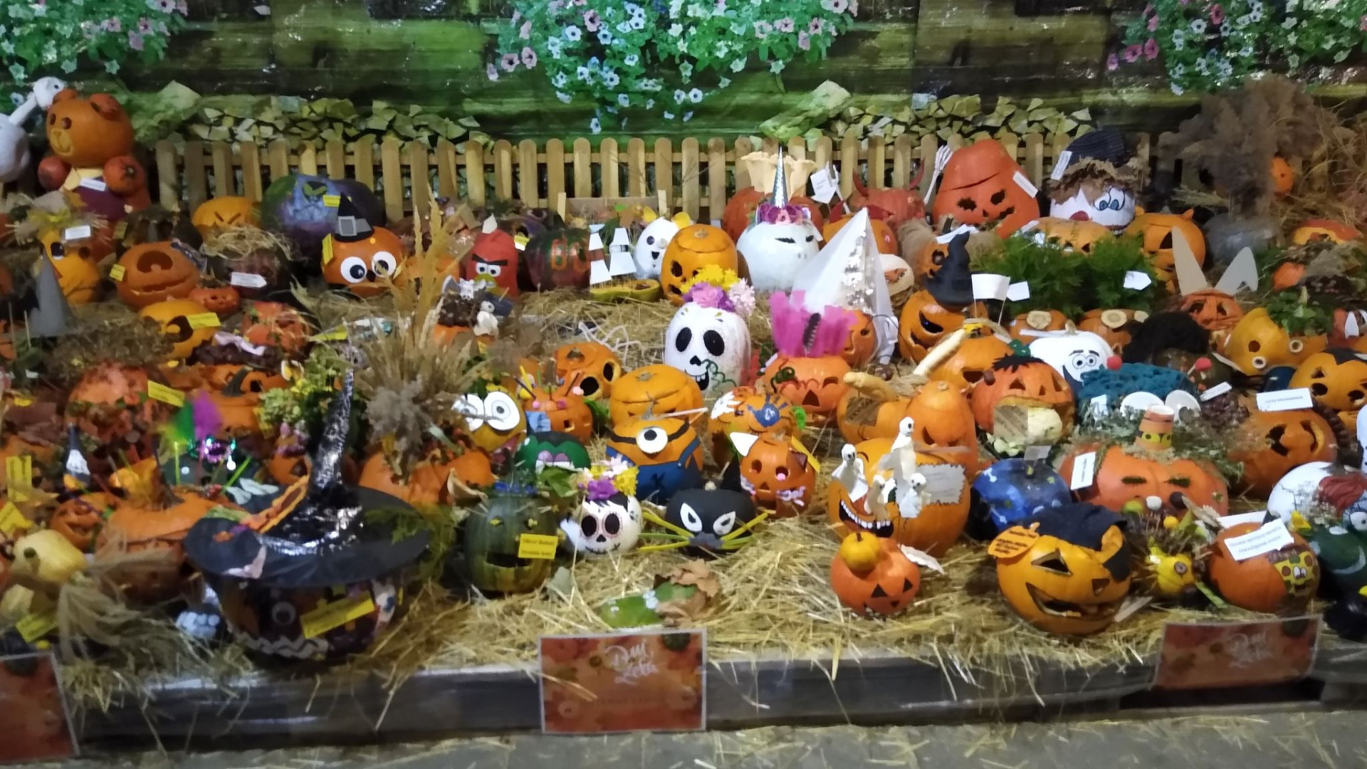 Stupava - Výstava, trh